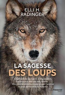 CVT_La-sagesse-des-loups-Comment-ils-pensent-sorgan_6005-1.jpg